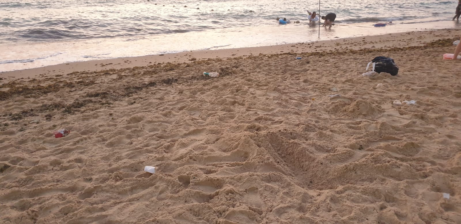 WhatsApp Image 2020-08-03 at 7.58.51 PM.jpeg.jpeg